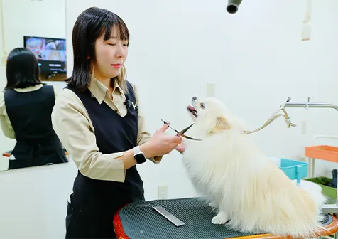 理由2:ワンちゃんの体に負担をかけない、やさしいケア