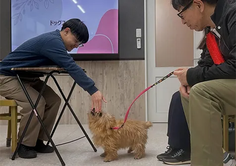 理由3:子犬のしつけから老犬介護まで、年齢制限なく一生に寄り添う