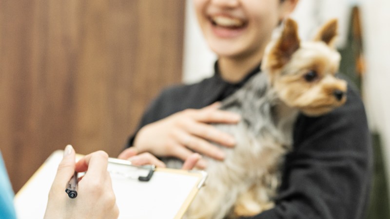 ワンちゃんを抱いた飼い主さまとカウンセリングをしている様子