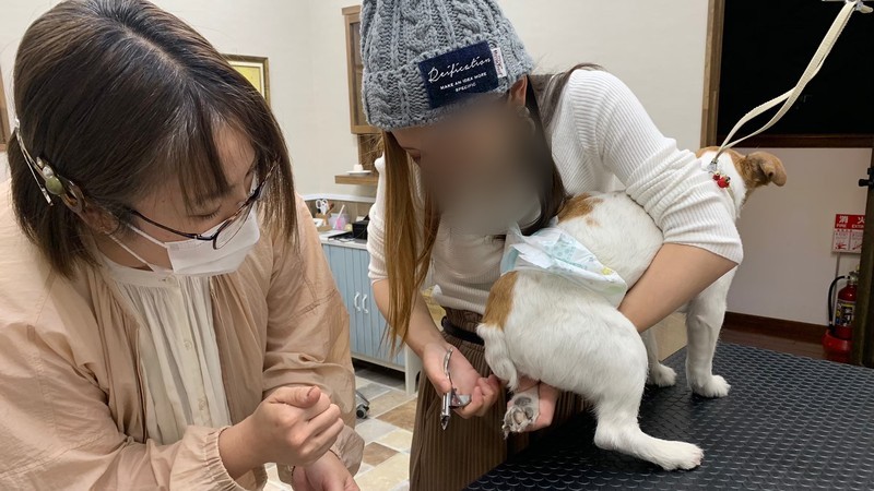 ドッグスクールのお手入れ講座で、トリマーに教わりながら爪切りを練習する飼い主さま