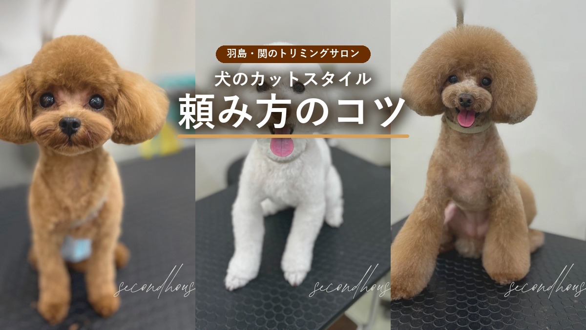 アイキャッチ画像